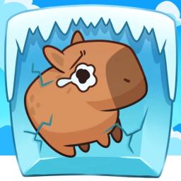 Capybara Evolution Discord server