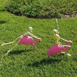 GIRL Tag & Free Gradients:3