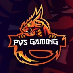 PVS GAMING