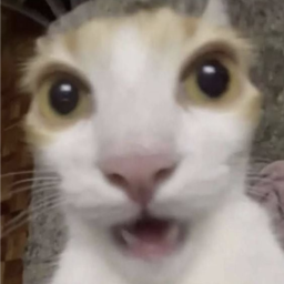 STEAL A BRAINROT (ESPAÑA)