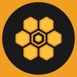 Team Hive