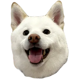 RaeCord Discord server